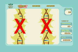 manbet手机版帮助- DNA双螺旋结构游戏