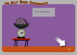 manbet手机版游戏帮助——大脑分割实验manbet手机版”width=