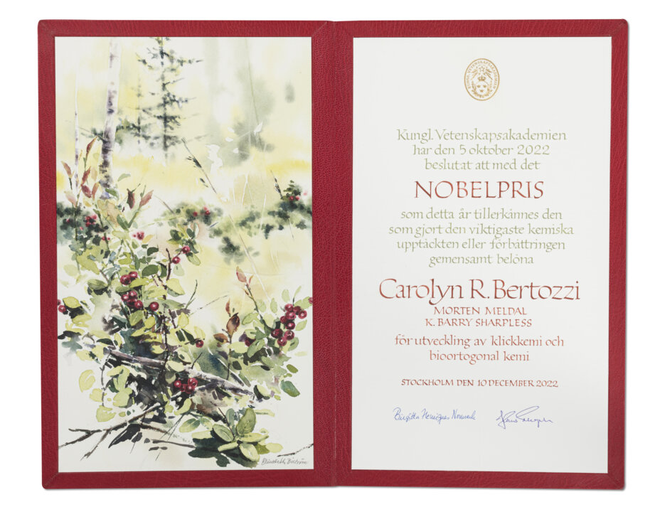 manbet手机版卡罗琳·r·贝尔托齐——诺贝尔奖证书