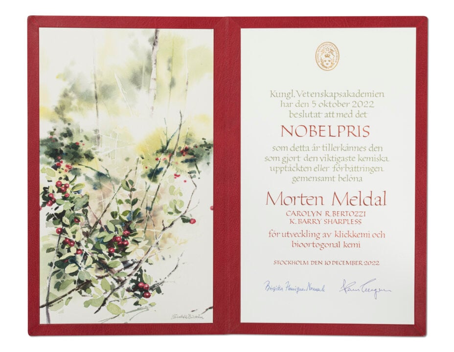 manbet手机版莫滕·梅尔达尔——诺贝尔奖证书