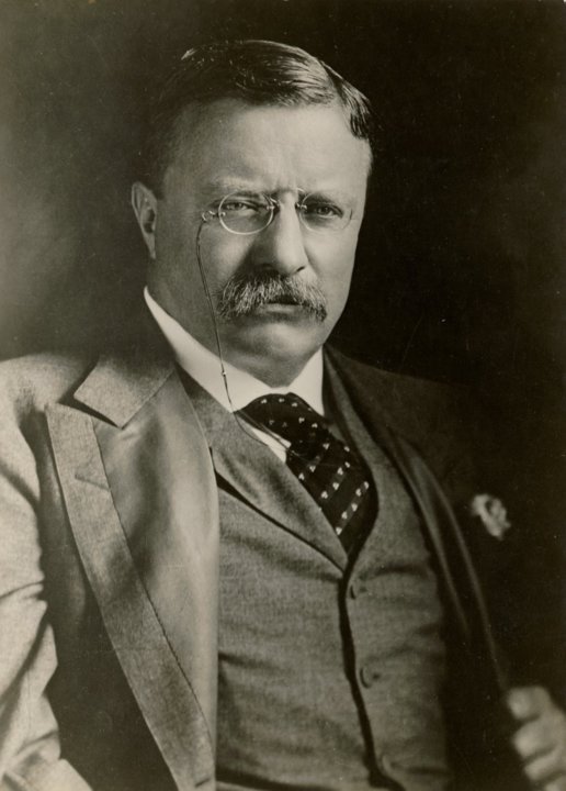 manbet手机版西奥多·罗斯福的画像