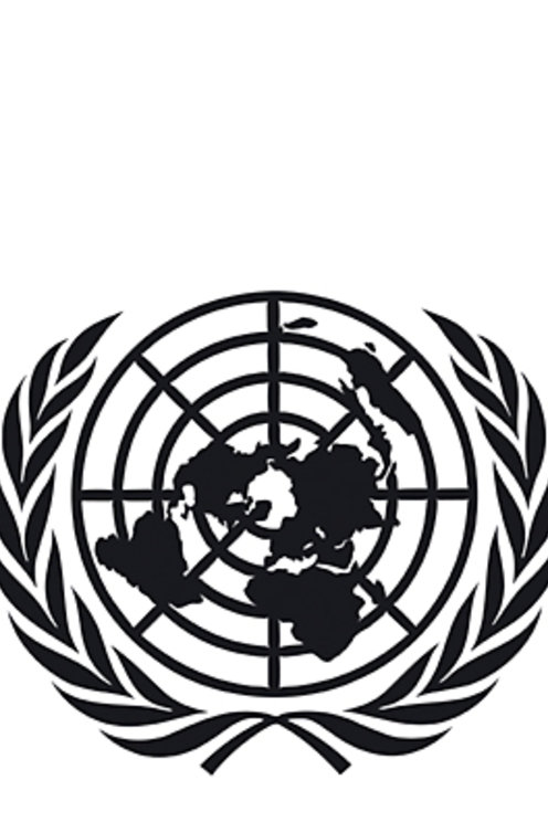 manbet手机版联合国标识