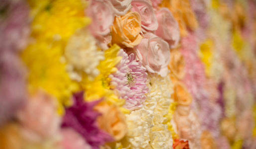 manbet手机版玫瑰、康乃馨、荷藤花和紫百合装饰着音乐厅