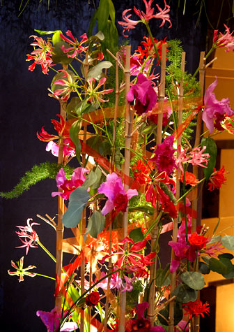 manbet手机版许多不同种类的花，包括玫瑰和兰花