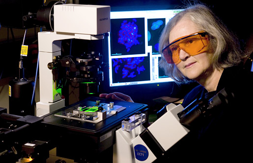 manbet手机版伊丽莎白·布莱克本教授拿着显微镜
