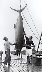 manbet手机版欧内斯特·海明威和一条大鱼。