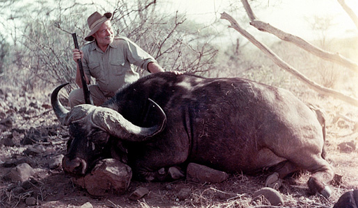 manbet手机版1953-1954年，欧内斯特·海明威在非洲狩猎时与一头水牛合影