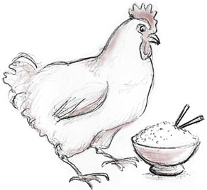 manbet手机版母鸡和一碗米饭。