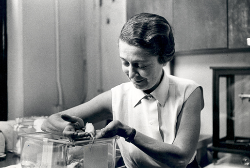 manbet手机版Rita Levi-Montalcini在她的实验室里
