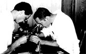 manbet手机版George Beadle和B. Ephrussi用显微镜观察。