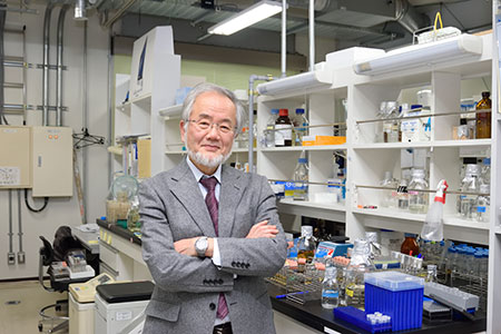 manbet手机版Yoshinori Ohsumi在他的实验室里。manbet手机版版权归东京工业大学所有