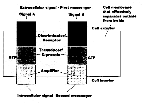 manbet手机版图1所示。