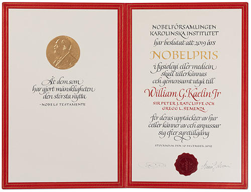 manbet手机版小威廉·g·凯林——诺贝尔学位证书
