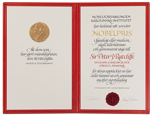 Sir Peter J. Ratcliffe - Nobel diploma