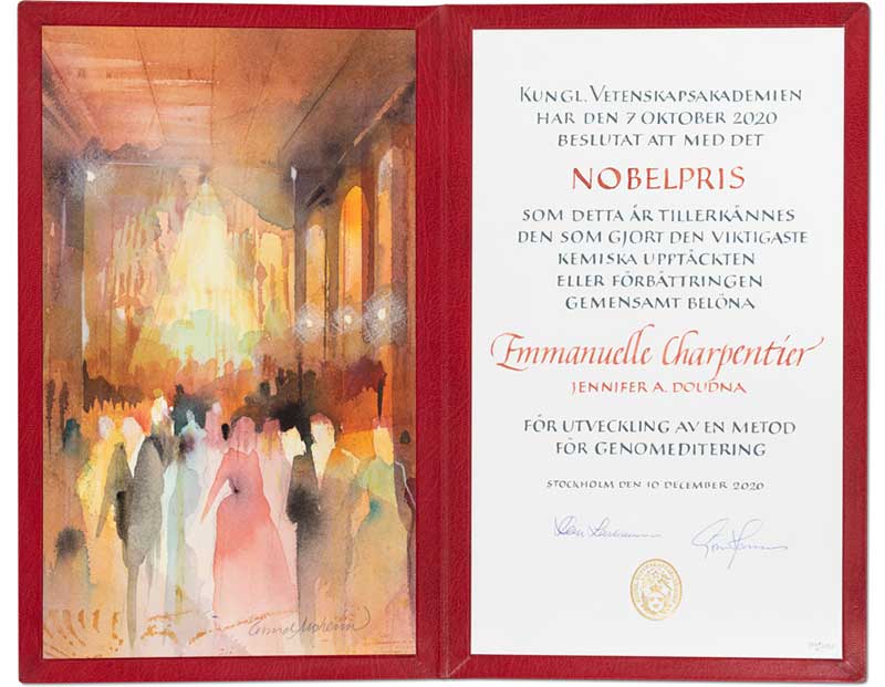 manbet手机版Emmanuelle Charpentier的诺贝尔文凭