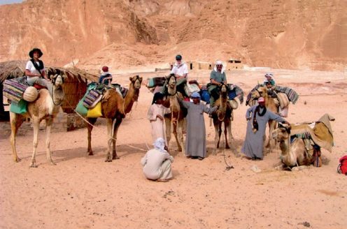 manbet手机版骑骆驼旅行